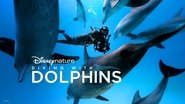 Backdrop of Diving with Dolphins image size 3840x2160