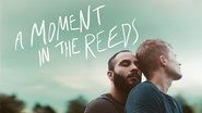 Backdrop of A Moment in the Reeds image size 3840x2160