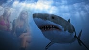 Shark Babes wallpaper 