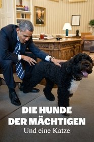 poster Die Hunde der Mächtigen - und eine Katze