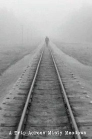 A Trip Across Misty Meadows