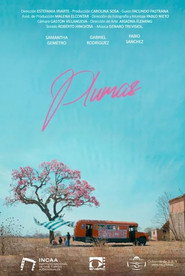 Plumas