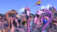 Flamingo Pride wallpaper 