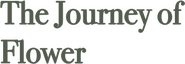 Logo of The Journey of Flower image size 351x122