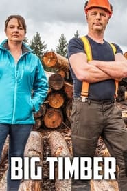 serie streaming - Big Timber streaming