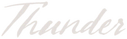 Logo of Thunder image size 4022x1247