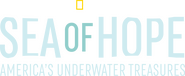 Logo of Sea of Hope: America's Underwater Treasures image size 3817x1576