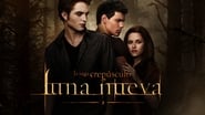 Twilight, chapitre 2 : Tentation wallpaper 