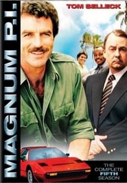 Serie streaming | voir Magnum en streaming | HD-serie