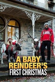 poster A Baby Reindeer's First Christmas