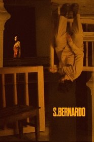 Saint Bernard Poster