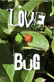 poster Lovebug