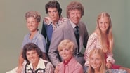 The Brady Bunch  