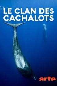poster Le clan des cachalots