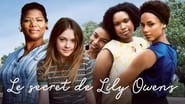 Le Secret de Lily Owens wallpaper 