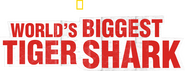 Logo of World's Biggest Tiger Shark image size 1920x734