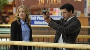 Covert Affairs season 3 episode 8