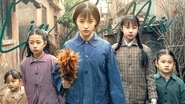 六姊妹  