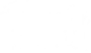 Logo of Albion: The Enchanted Stallion image size 1416x830