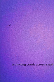 a tiny bug crawls across a wall