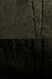 SWANTON ROAD poster