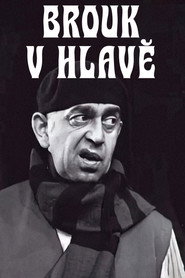 Brouk v hlavě