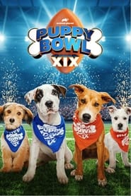 Puppy Bowl XIX 2023 Soap2Day