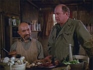 M*A*S*H season 10 episode 14