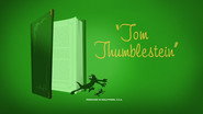 Tom Thumblestein