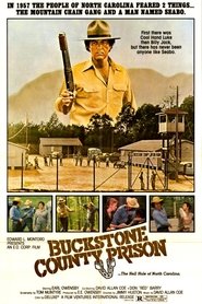 poster Buckstone County Prison