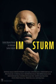 Im Sturm poster