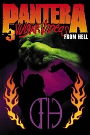 Poster of Pantera - 3 Vulgar Videos From Hell image size 1000x1500