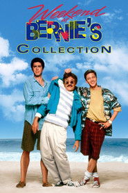 Poster image size 1000x1500