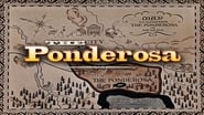 Ponderosa  