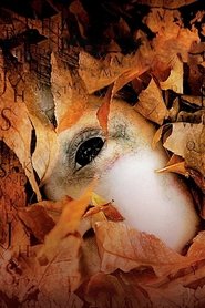 gallery-thumbnail