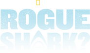 Logo of Rogue Shark image size 2184x1300
