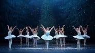 Nutcracker Delights: English National Ballet wallpaper 