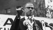 The Autobiography of Malcolm X wallpaper 