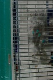 poster Storefront