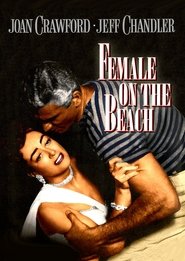 Poster of Female on the Beach image size 1024x1443