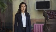 Marvel : Les Agents du S.H.I.E.L.D. season 2 episode 17