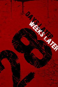 Poster image size 1164x1746