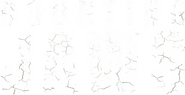 Logo of Counting Jaws image size 2132x1090