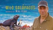 Backdrop of Wild Galápagos image size 3840x2160