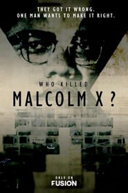Serie streaming | voir Qui a tué Malcolm X ? en streaming | HD-serie