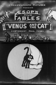 poster Venus and the Cat
