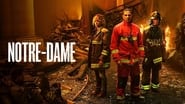 Notre-Dame, la part du feu  