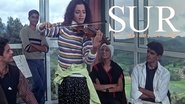 Backdrop of Sur: The Melody of Life image size 1280x720