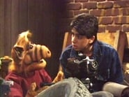 Alf season 3 episode 14