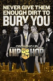 Poster of Growing Up Hip Hop image size 1000x1500